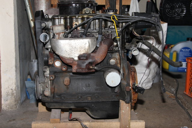 Cors281.JPG (458.01 KiB) 22906 mal betrachtet So sah der Kleine noch heute morgen aus.