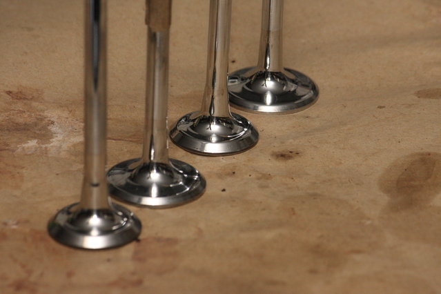 Cors318.JPG (400.46 KiB) 15627 mal betrachtet Und noch als Gruppe